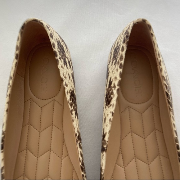 Coach Annabel Snakeskin Pointed Toe Ballet Flats - Picture 10 of 16